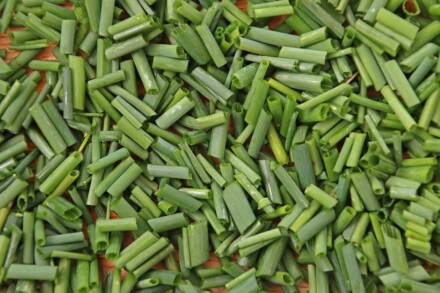 Chives